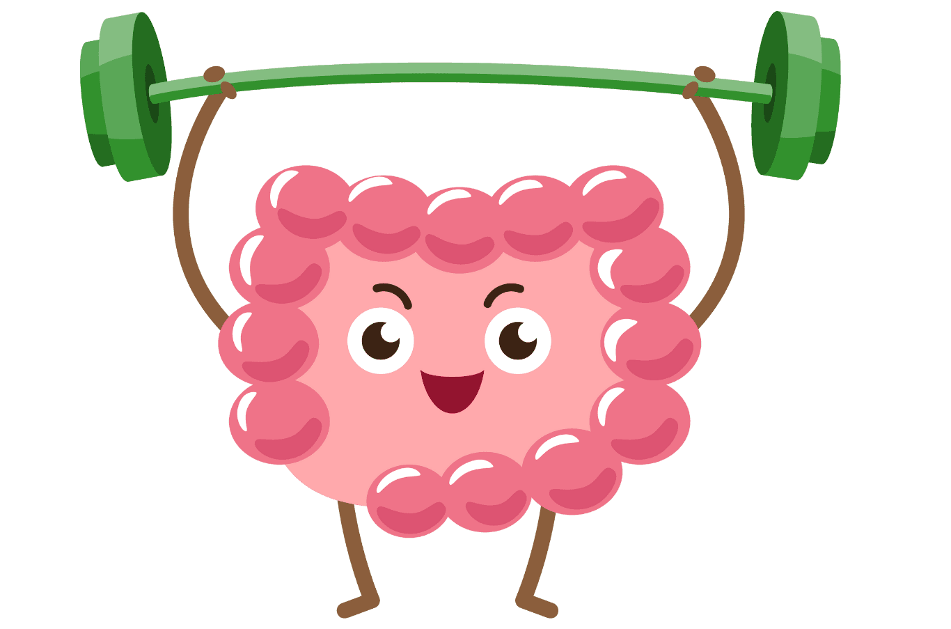 Strong and Active Gut
